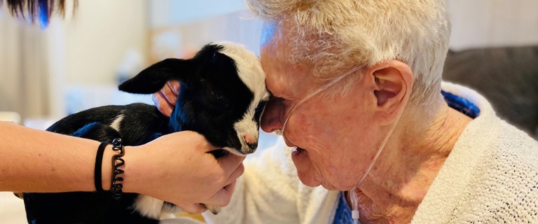 farmday2.jpg farmday2.jpg