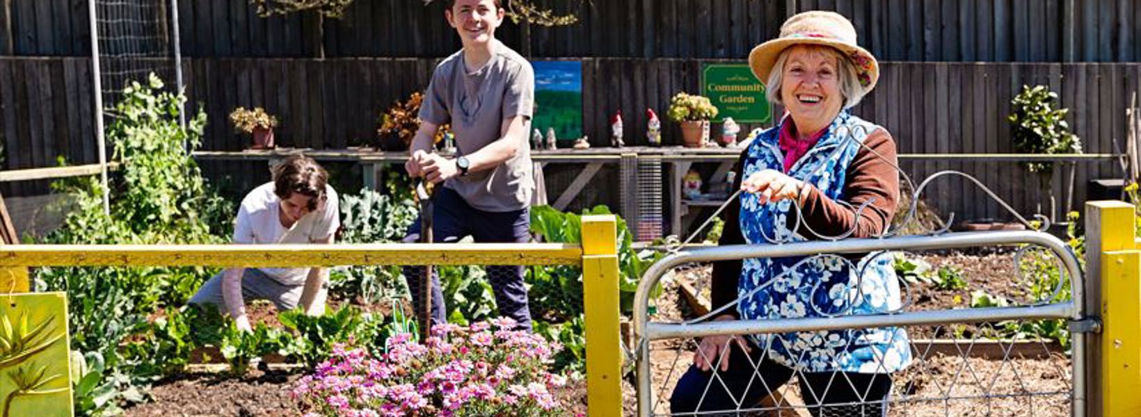 AgeingWellReportsmall.JPG AgeingWellReportsmall.JPG