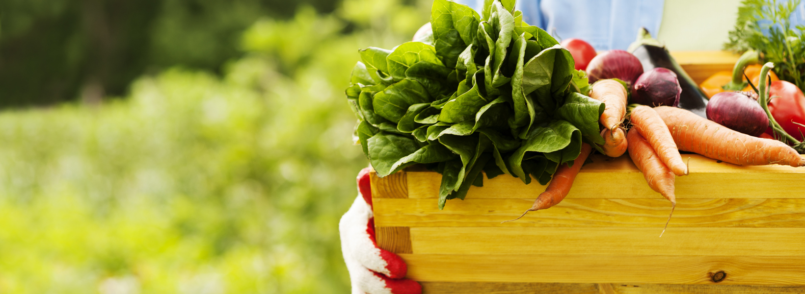 gardenveges_126744209.jpg gardenveges_126744209.jpg