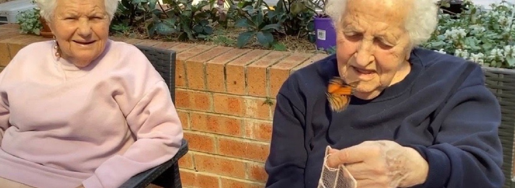 Two elderly ladies releasing a butterfly from its cage Two elderly ladies releasing a butterfly from its cage