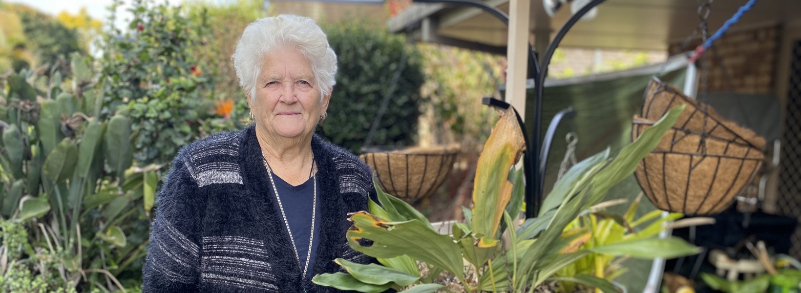 Fernhill Lynda with 40yo Fernhill orchid (6).JPG Fernhill Lynda with 40yo Fernhill orchid (6).JPG