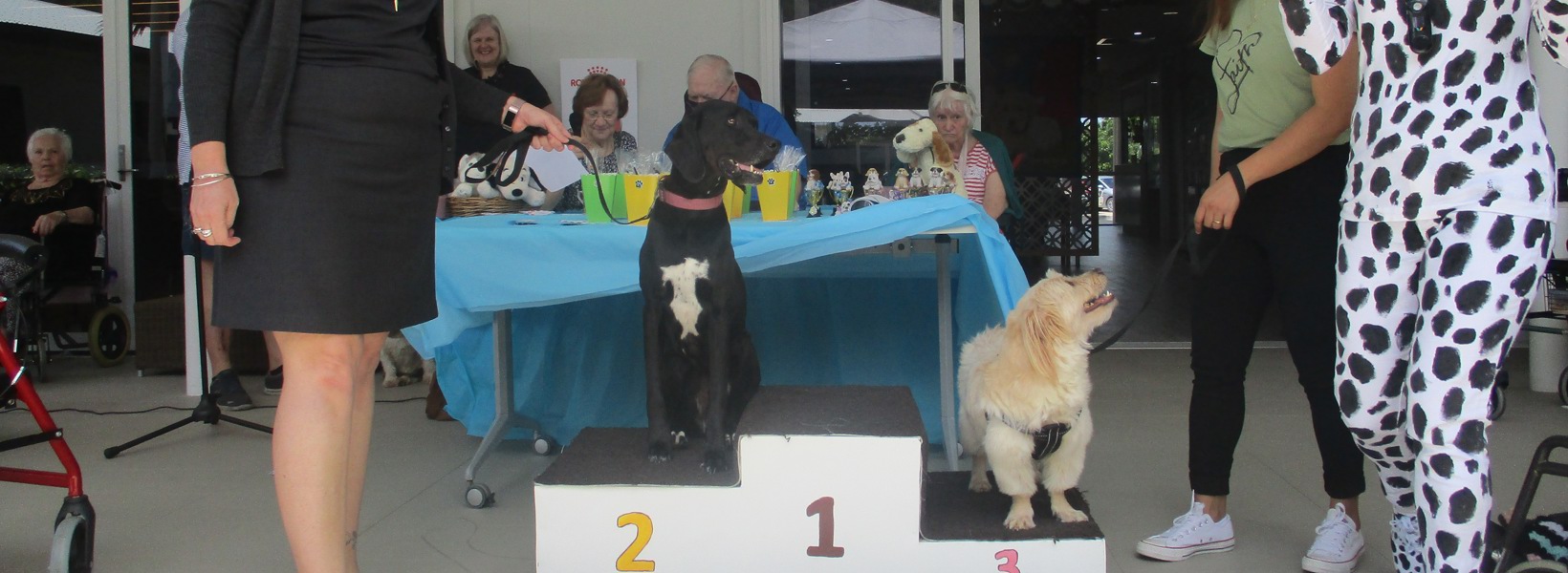 Glendale dog show podium (2).JPG Glendale dog show podium (2).JPG