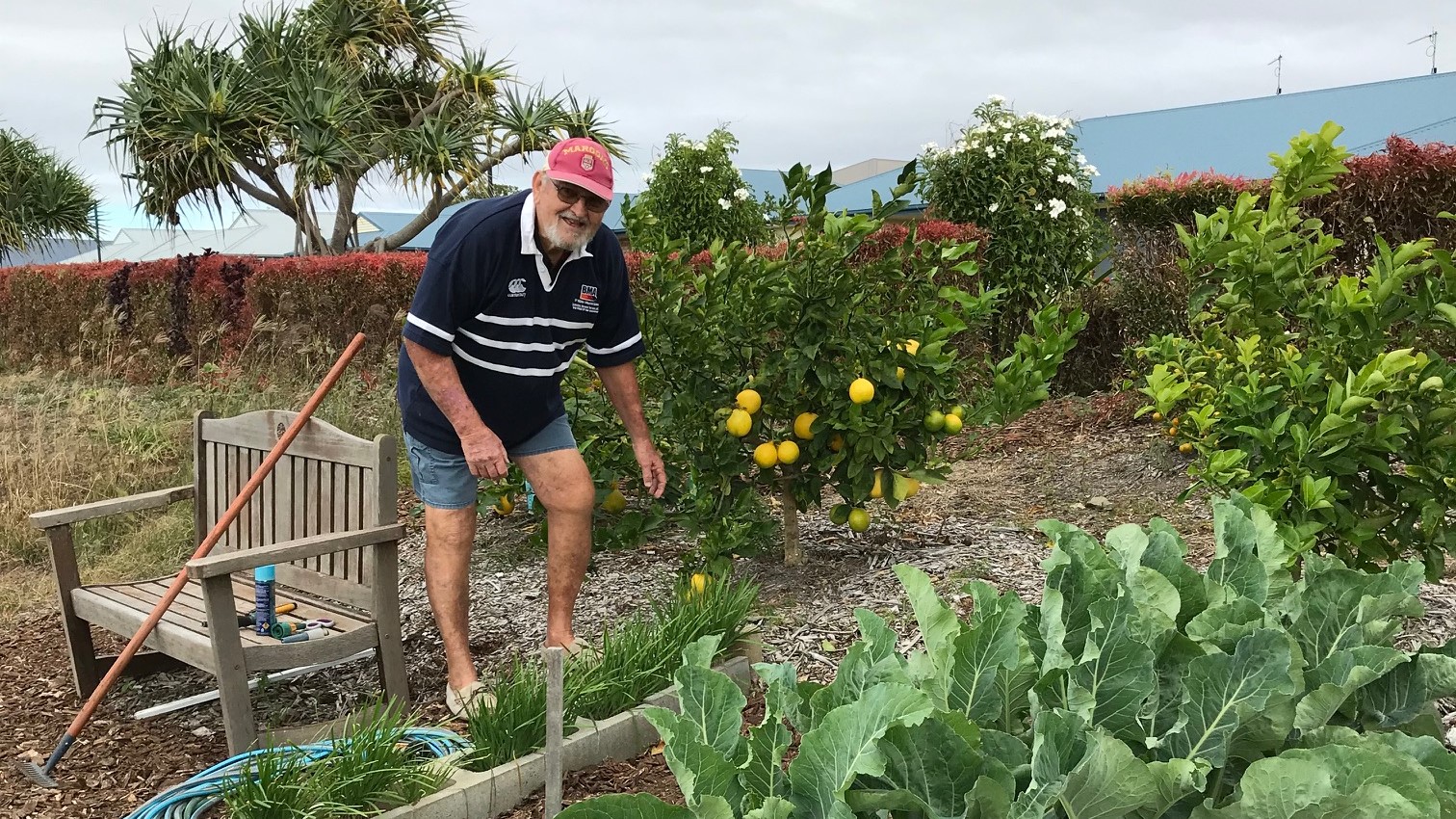 Sunset Ridge gardening 603_crop.jpg