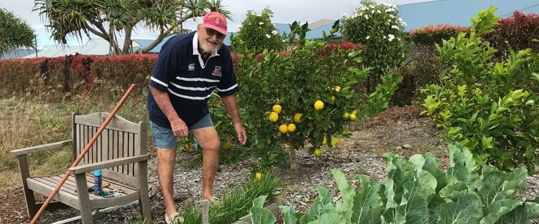 Sunset Ridge gardening 603_crop.jpg Sunset Ridge gardening 603_crop.jpg