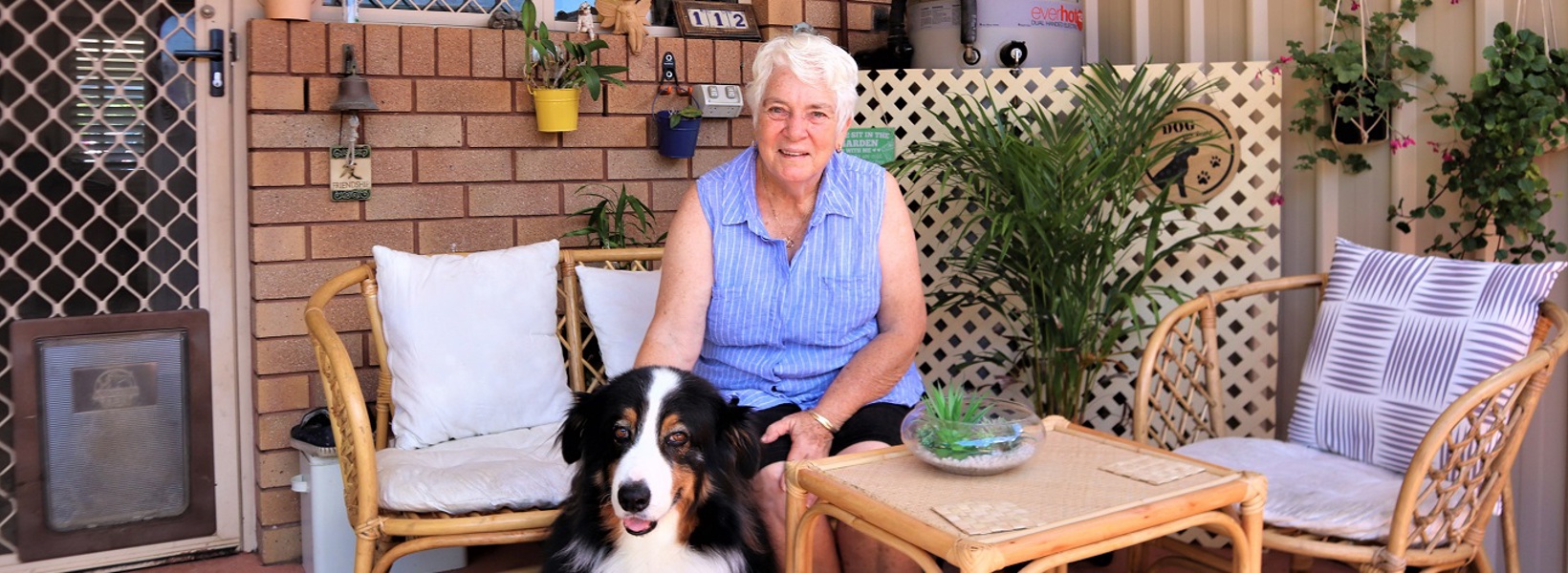 Carmen&Zorro_1400x500.jpg Carmen&Zorro_1400x500.jpg