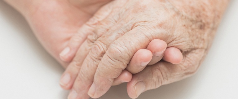 HandHold_Article.jpg HandHold_Article.jpg