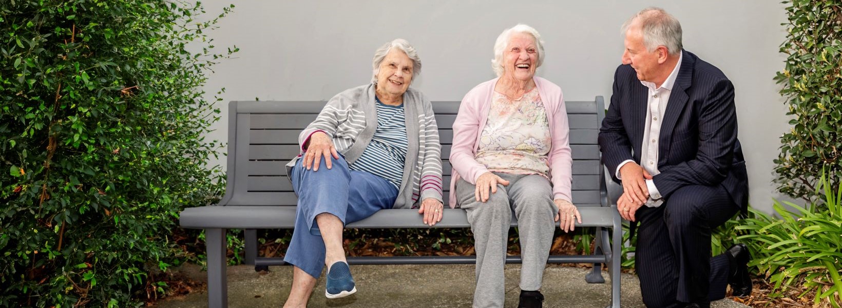 From Steve's Desk_Banner.jpg