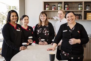 Welcome to Willowdale_Teaser.jpg