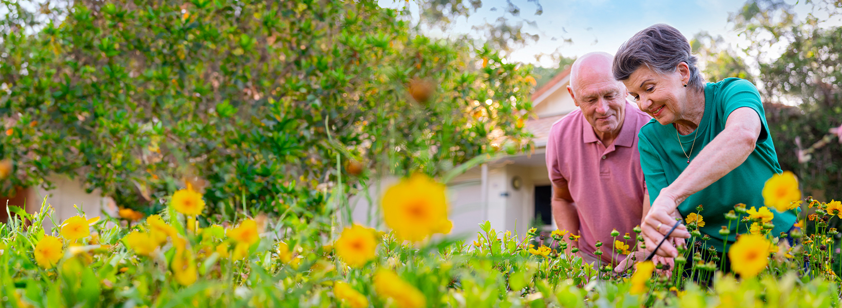 Making sustainability part of our everyday