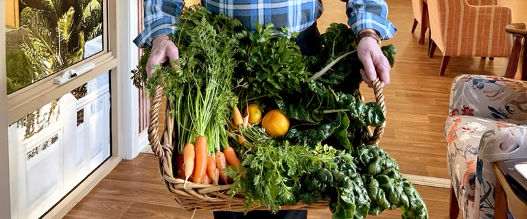 Plating up garden delights Plating up garden delights