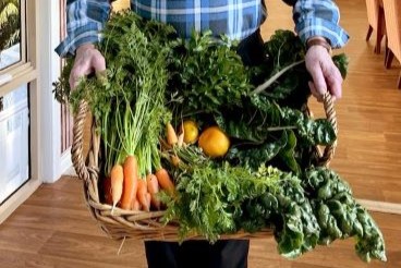 Plating up garden delights