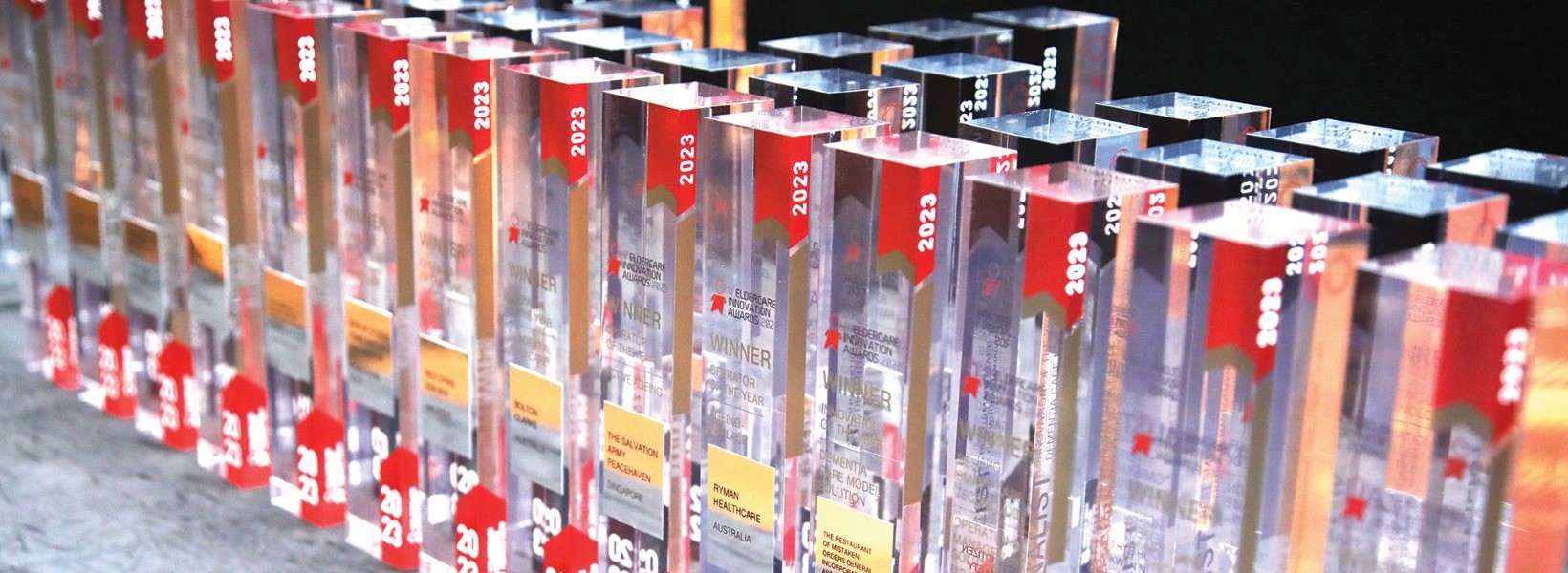 Excellence at Eldercare Awards  - 2023 Trophies