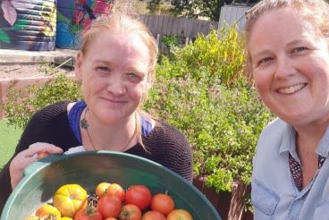 Community gardens Community gardens
