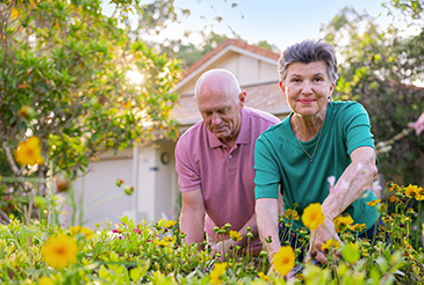 Positive Ageing Positive Ageing