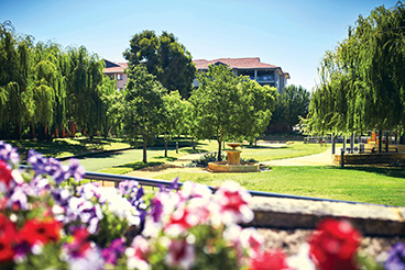 Menora Gardens- 2/3 Bedroom Apartments and Units