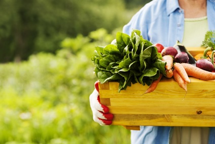 breezesmarketdayweb.jpg breezesmarketdayweb.jpg