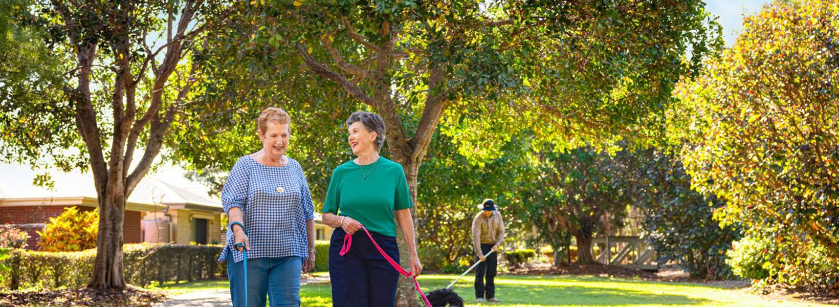 RLsurveywebimage.JPG RLsurveywebimage.JPG