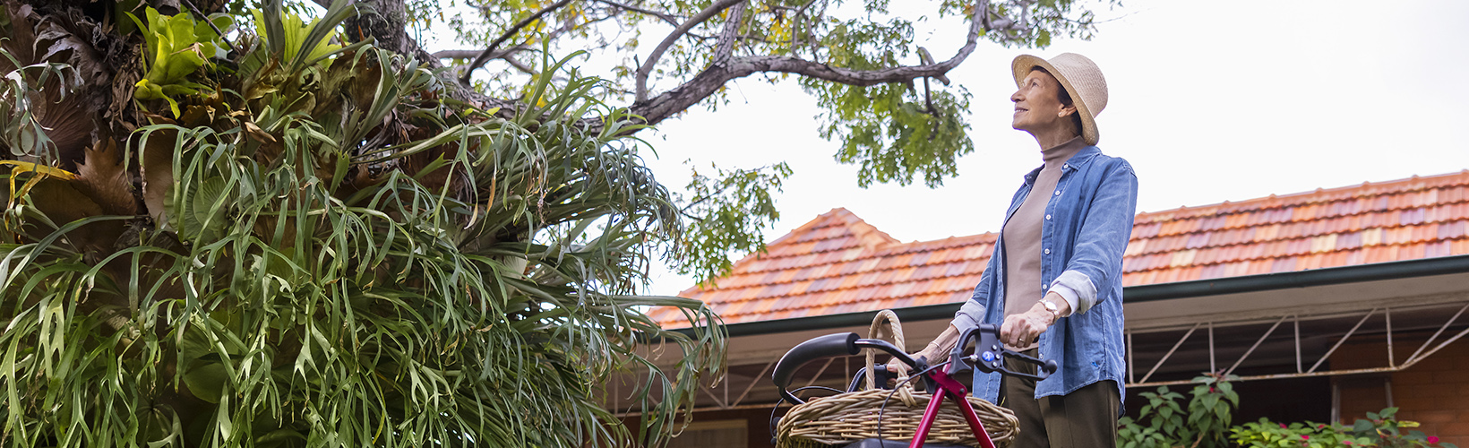 HCS Central Coast banner 2.jpg